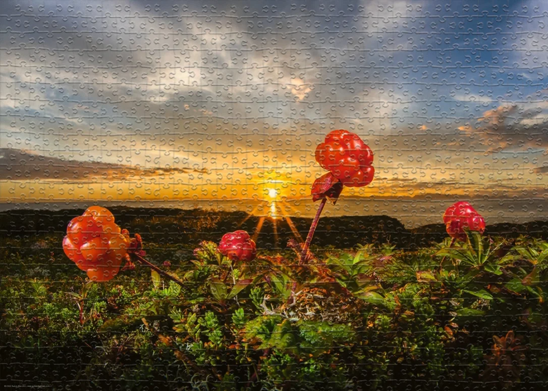 gamescape-north-2045771