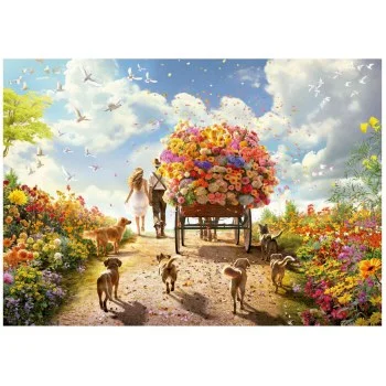 hobbyrising-2068412