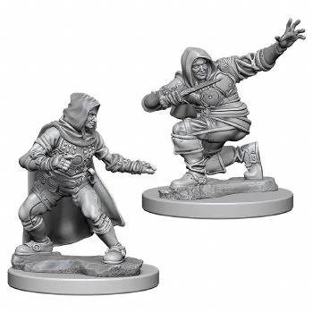 hobbyrising-2082622