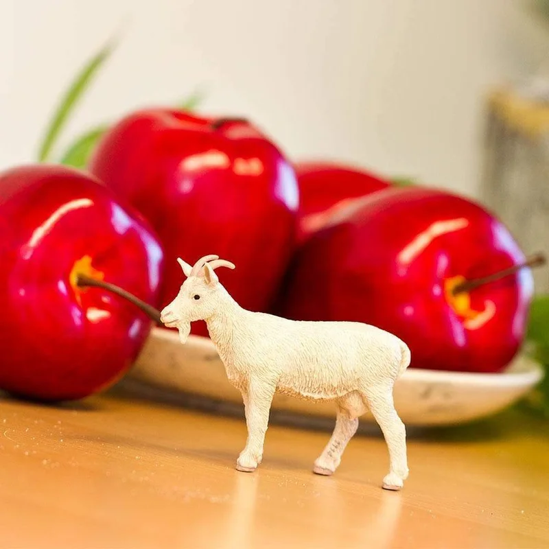 hopscotchtoys1961461