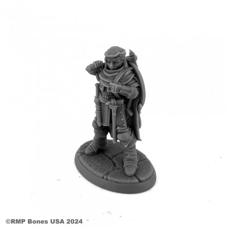 lionhearthobby22007876