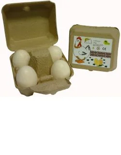 littlegoosetoys1906639