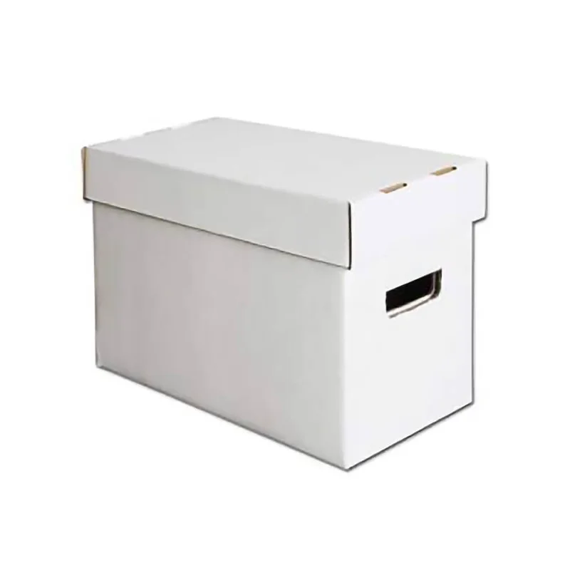 maziply11925097