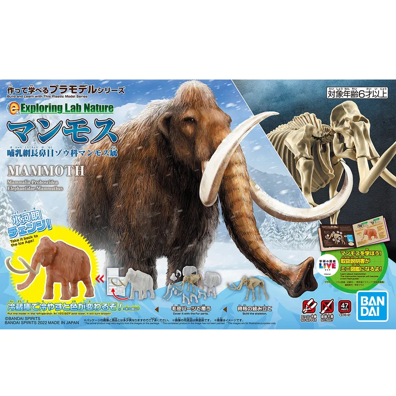 prexhobby32235137