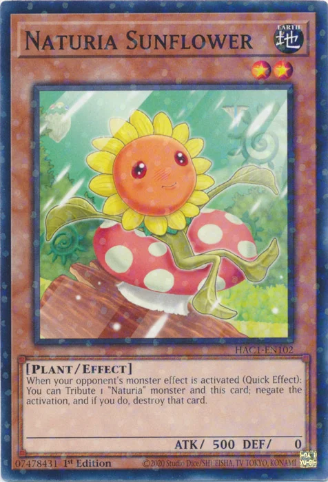 thehaventabletop32248782