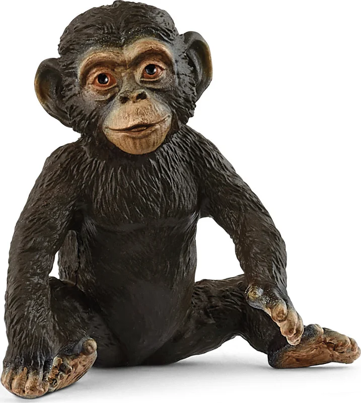 timbuktoys1970966