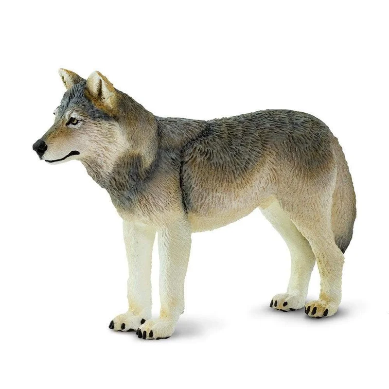 toychestnh1925026