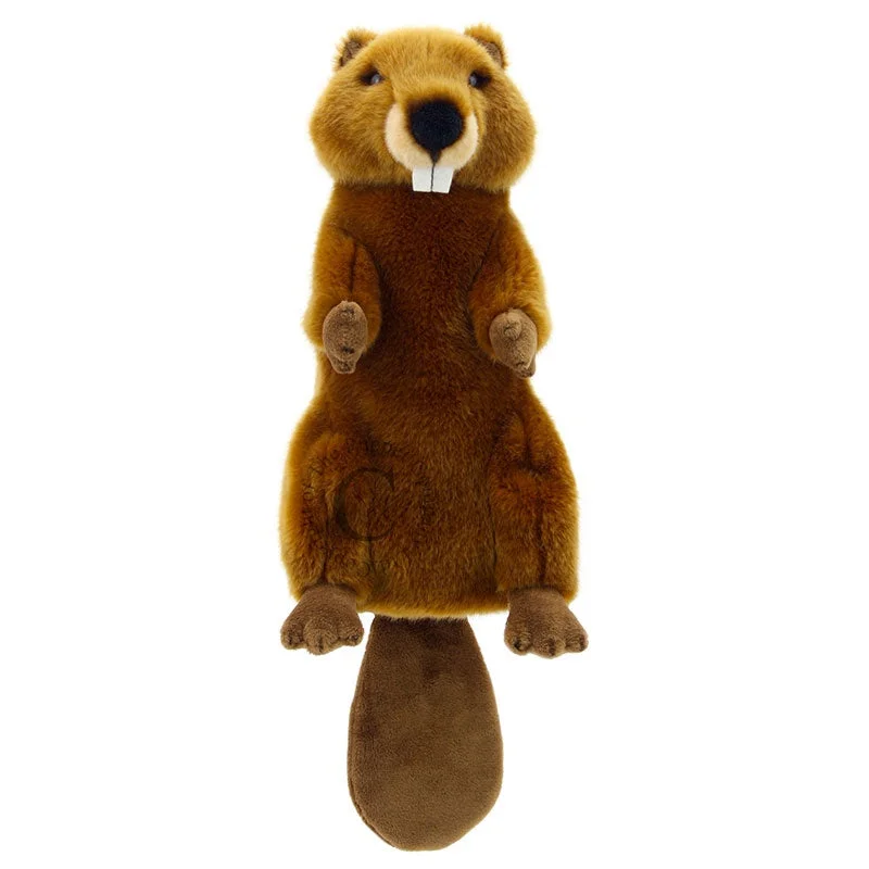 toychestnh1929522