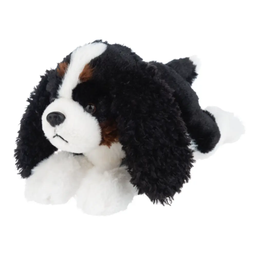 toysandco-2042173