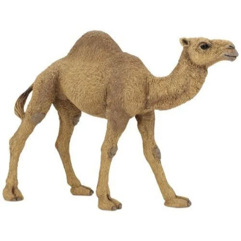 toysandco-2067355