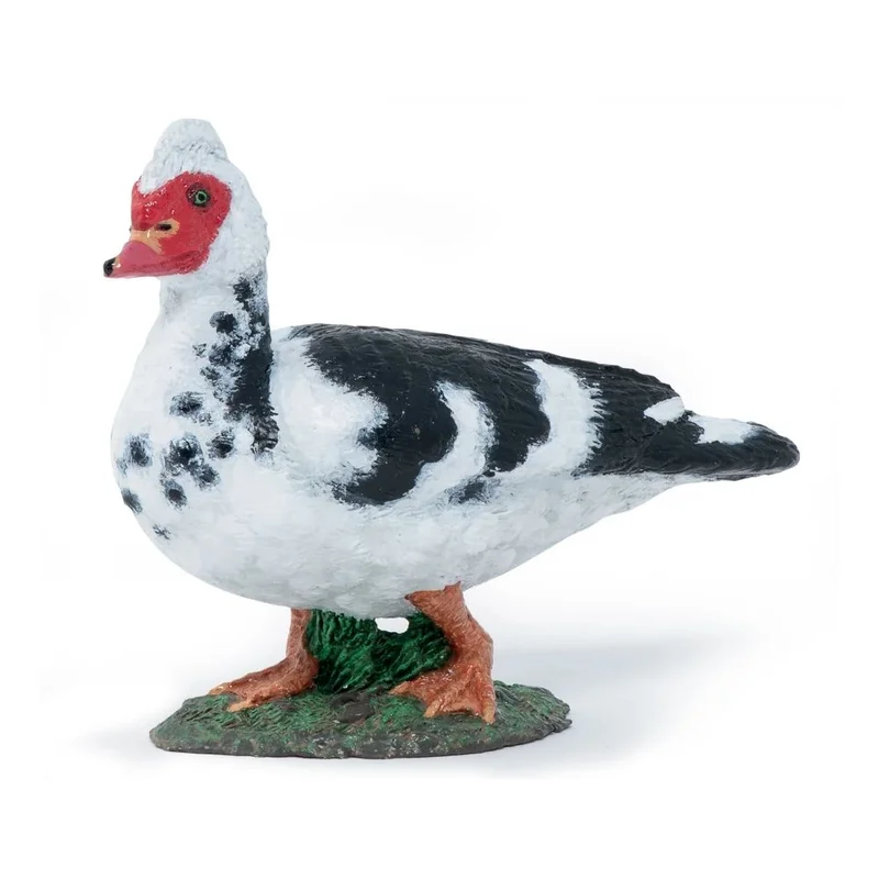 toysandco-2068872
