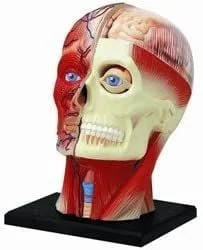 toysandco-2076874