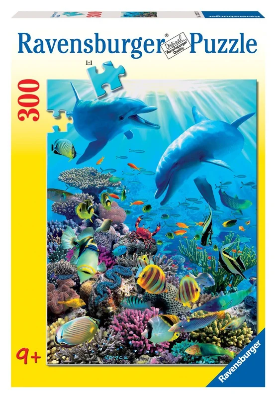 toysandco-2083973