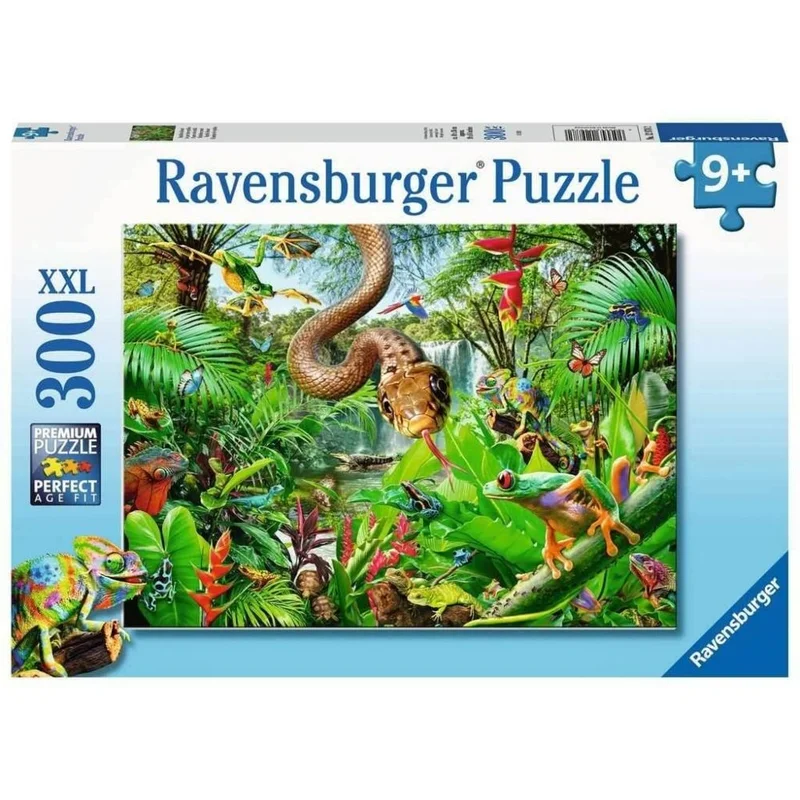 toysandco-2083997