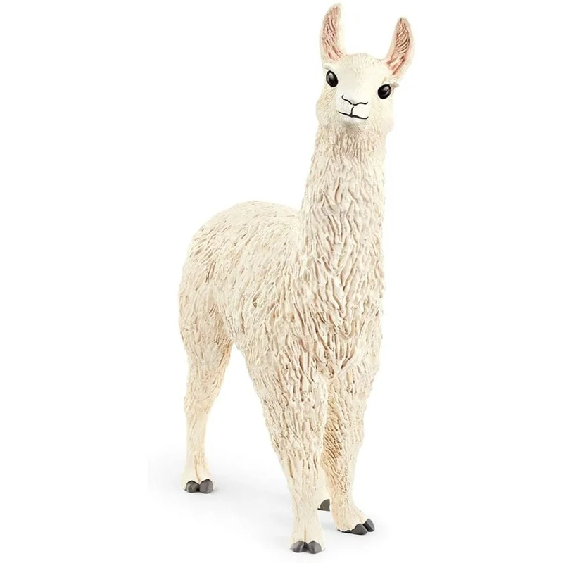 toysandco-2085540