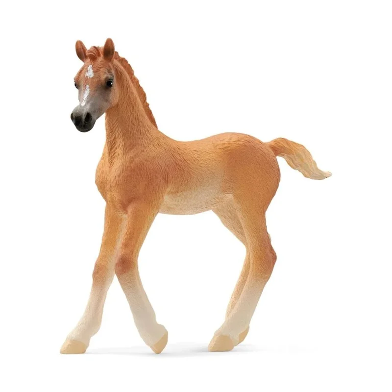 toysandco-2085698