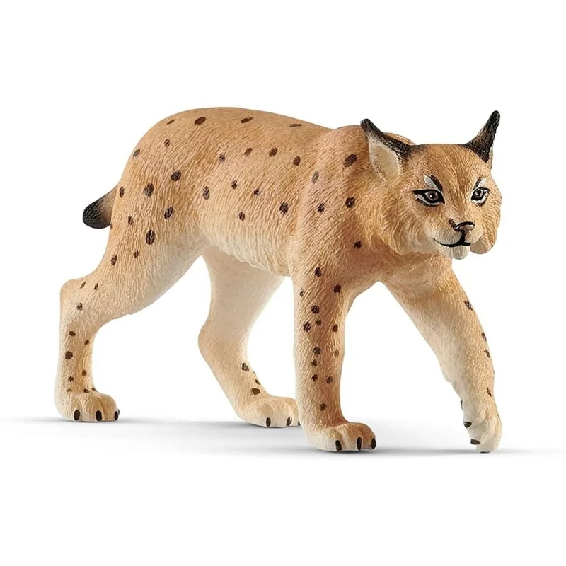 toysandco-2085840