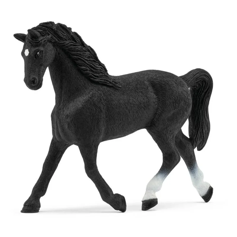 toysandco-2086942
