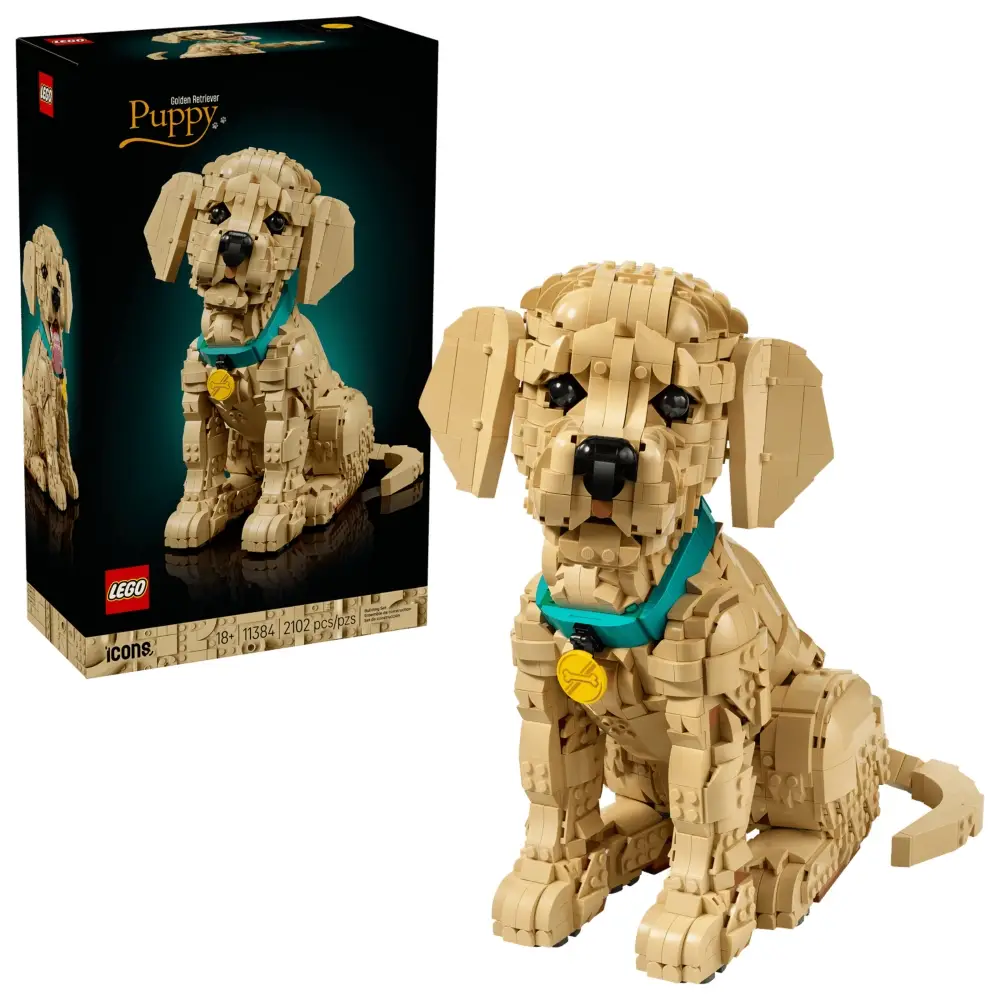 toysandco-2087774