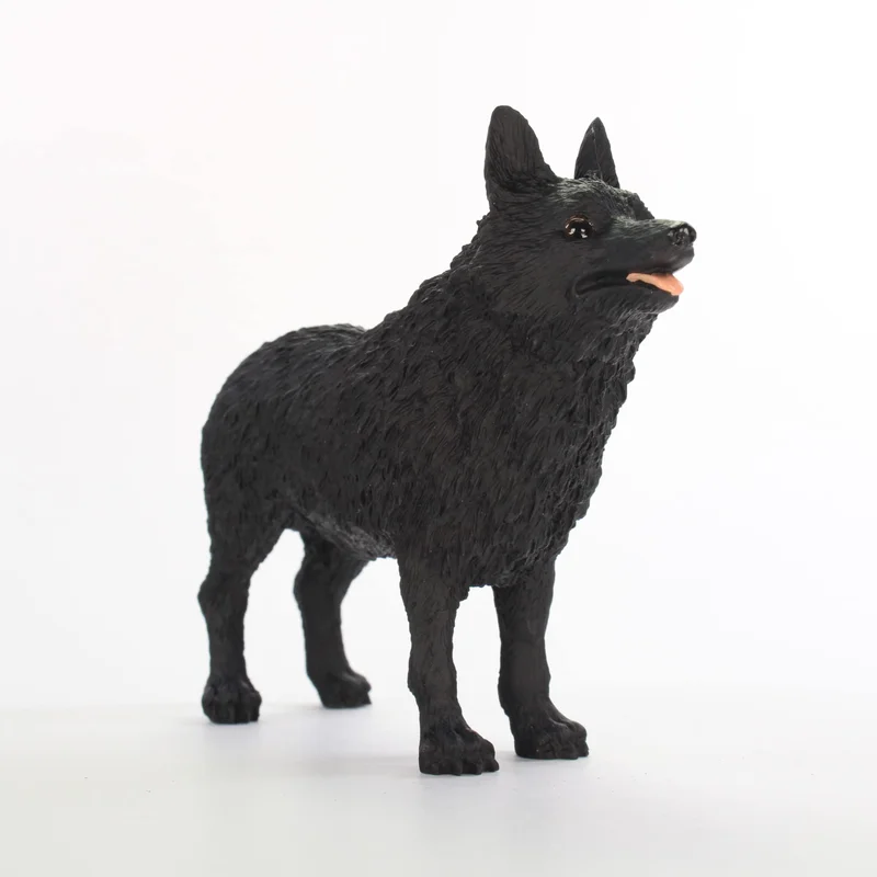 toytooth62220372
