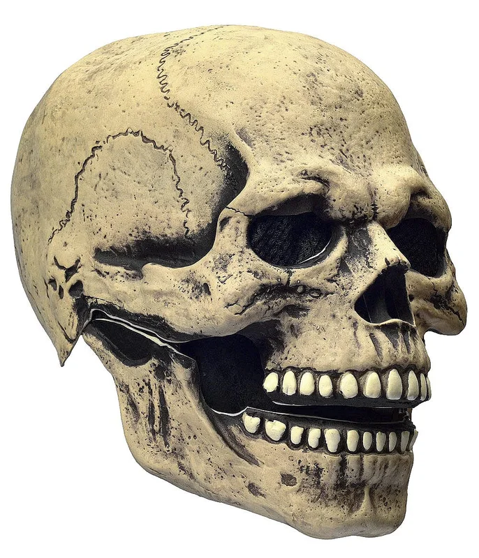 toytooth92252305